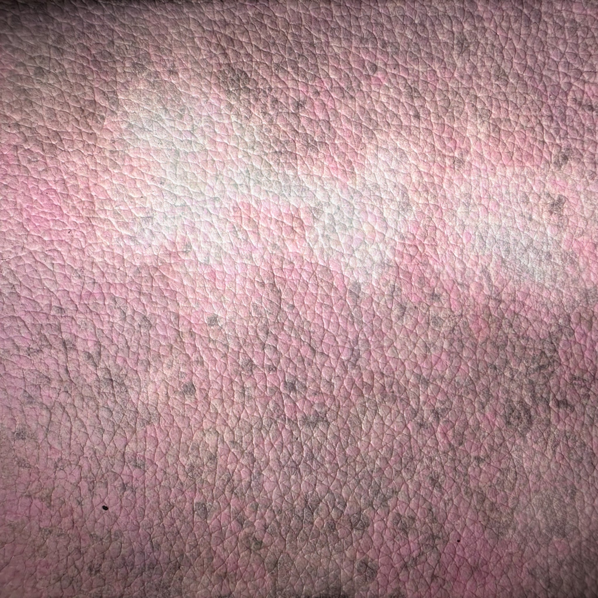 Celium™ - The Swatch Sampler