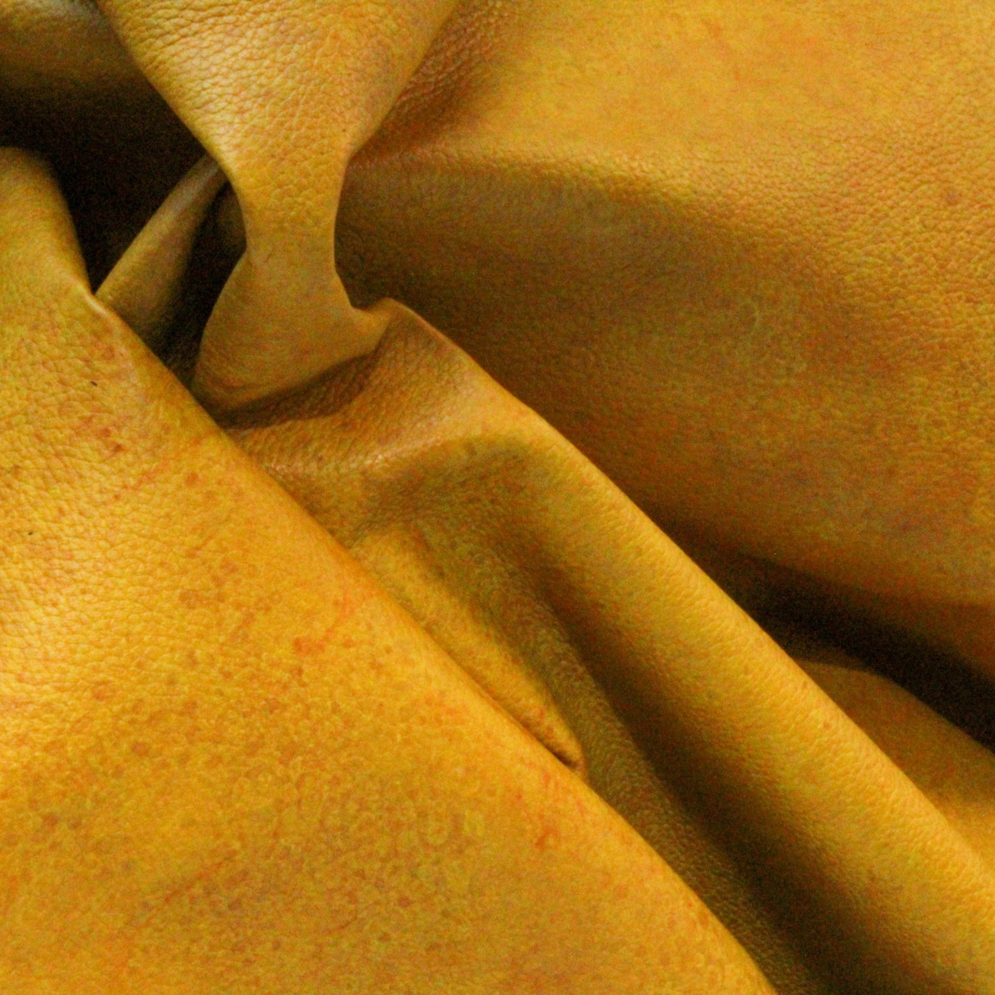 Celium™  - Production Trial (10 Sheets)