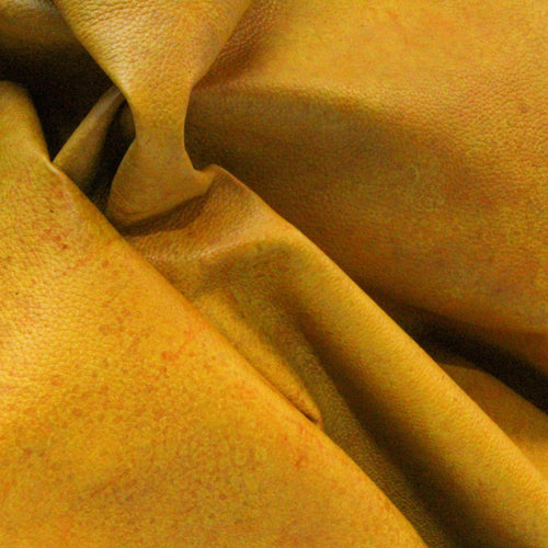 Celium™  - Discovery Set (2 Sheets)