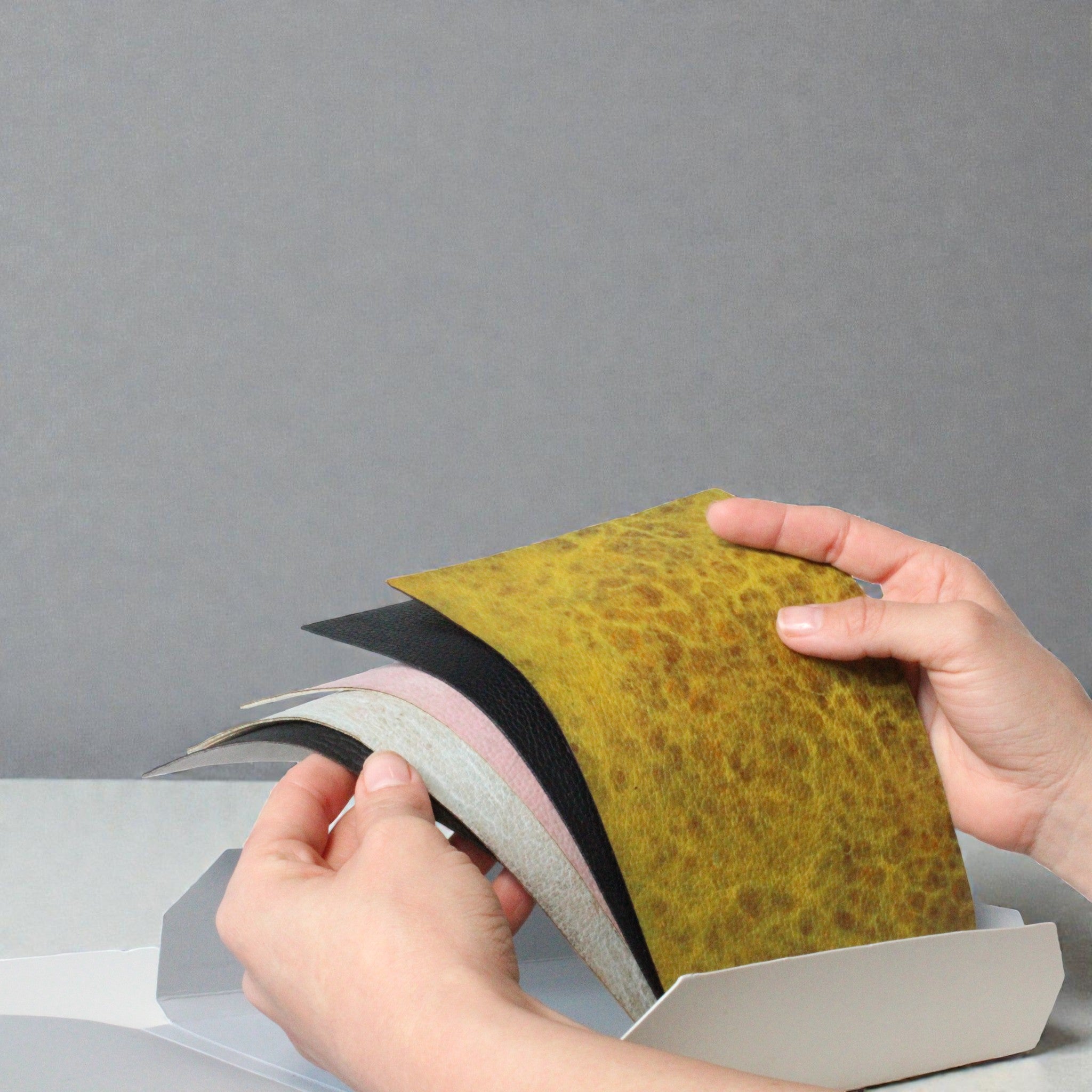 Celium™ - The Swatch Sampler