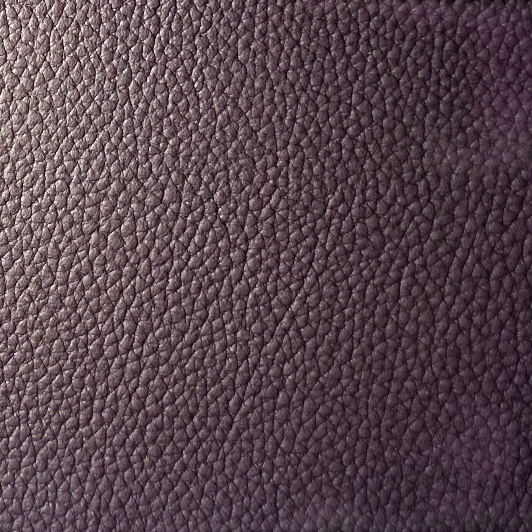 Celium™ - The Swatch Sampler