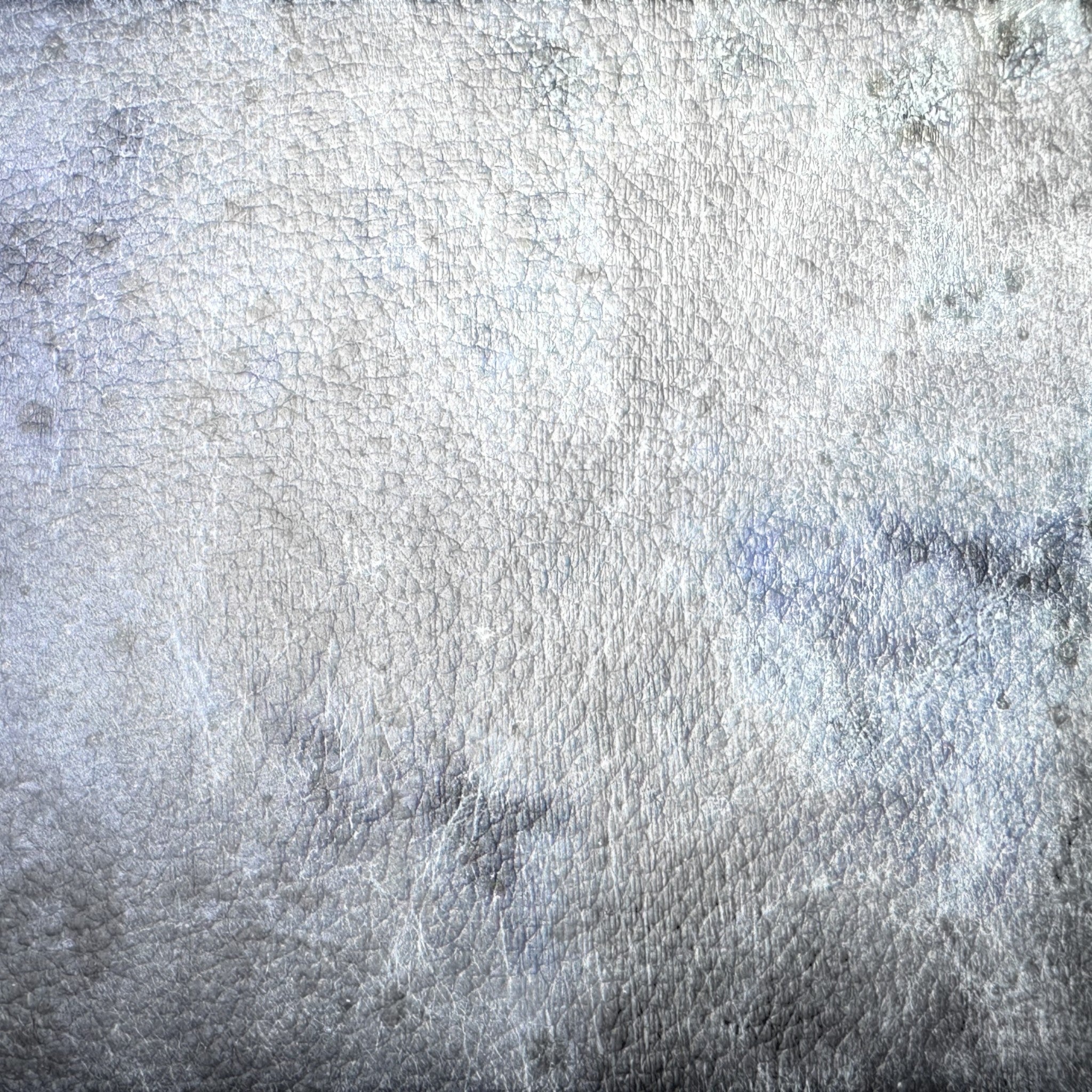 Celium™ - The Swatch Sampler