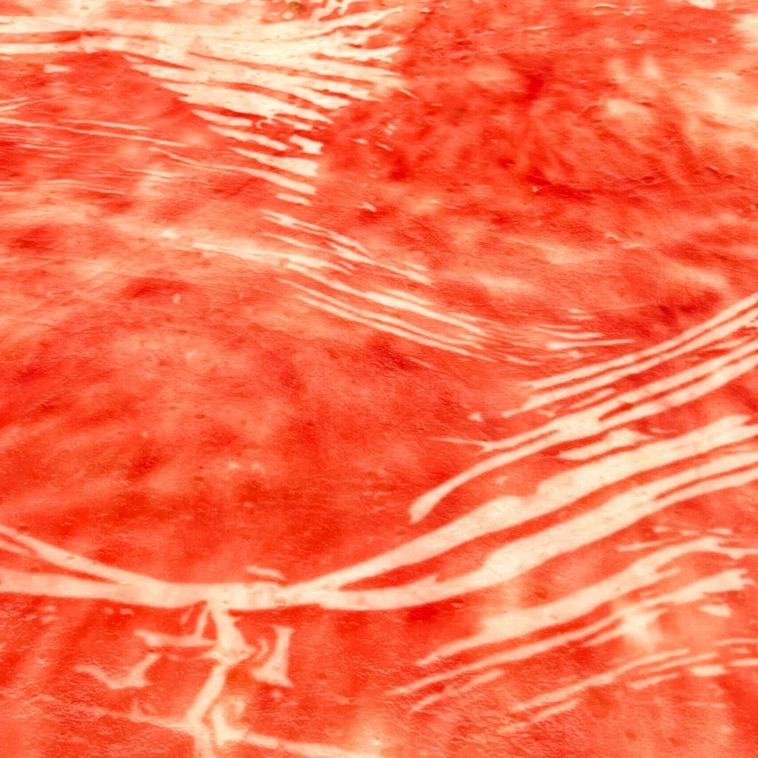 Celium™  - Motile States Collection SS