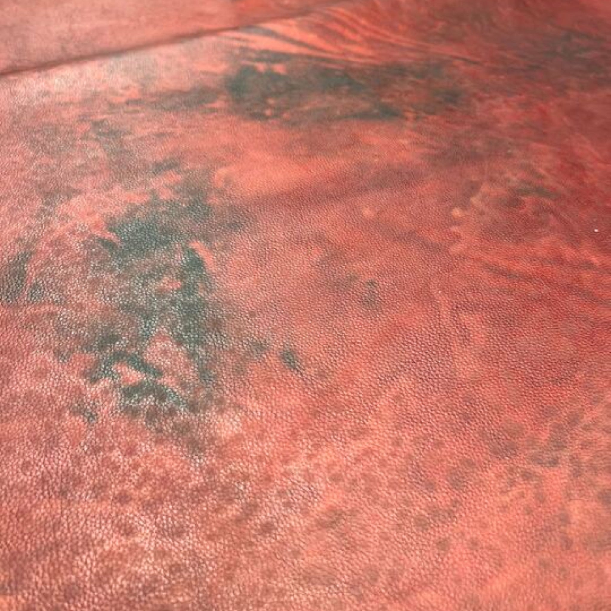 Celium™  - Motile States Collection SS