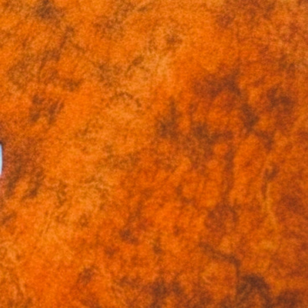 Celium™  - Motile States Collection SS