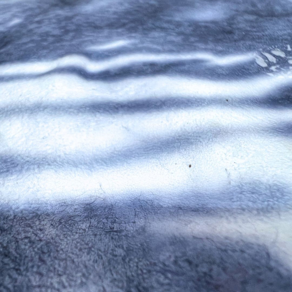 Celium™  - Motile States Collection SS