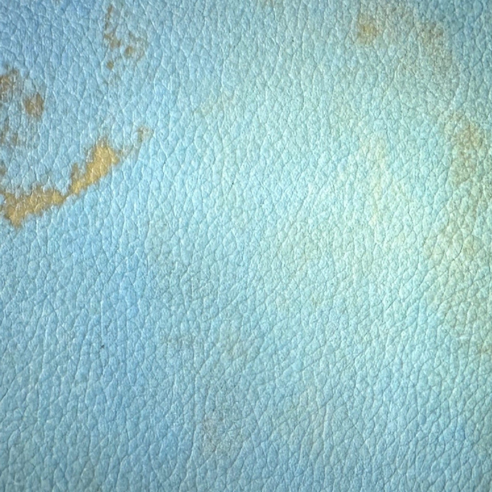 Celium™ - The Swatch Sampler