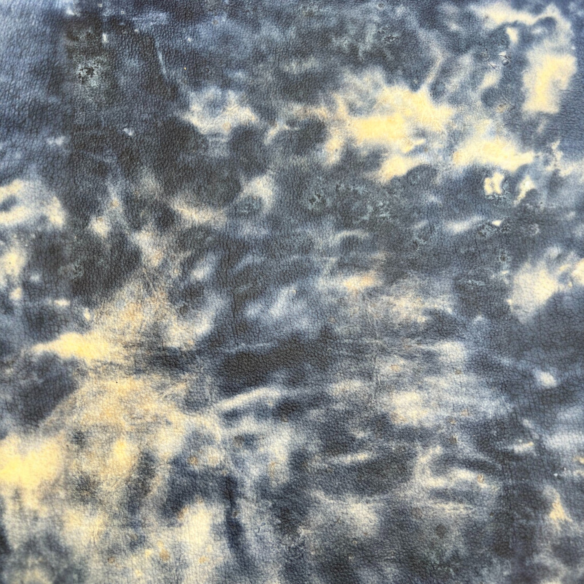 Celium™  - Motile States Collection SS