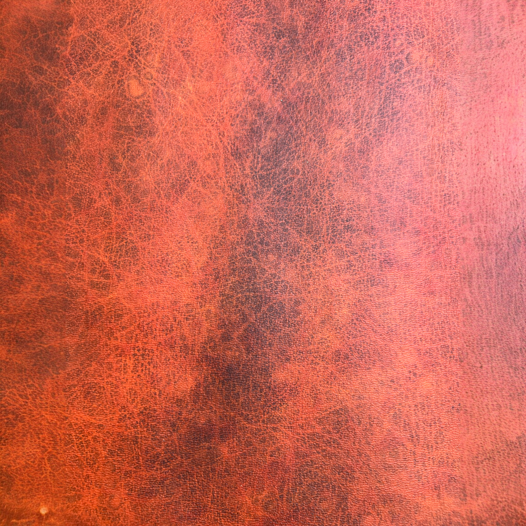 Celium™  - Motile States Collection SS