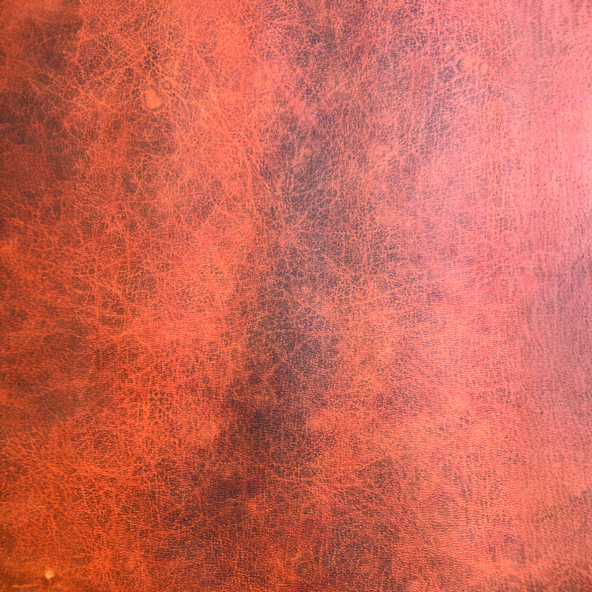 Celium™  - Motile States Collection SS