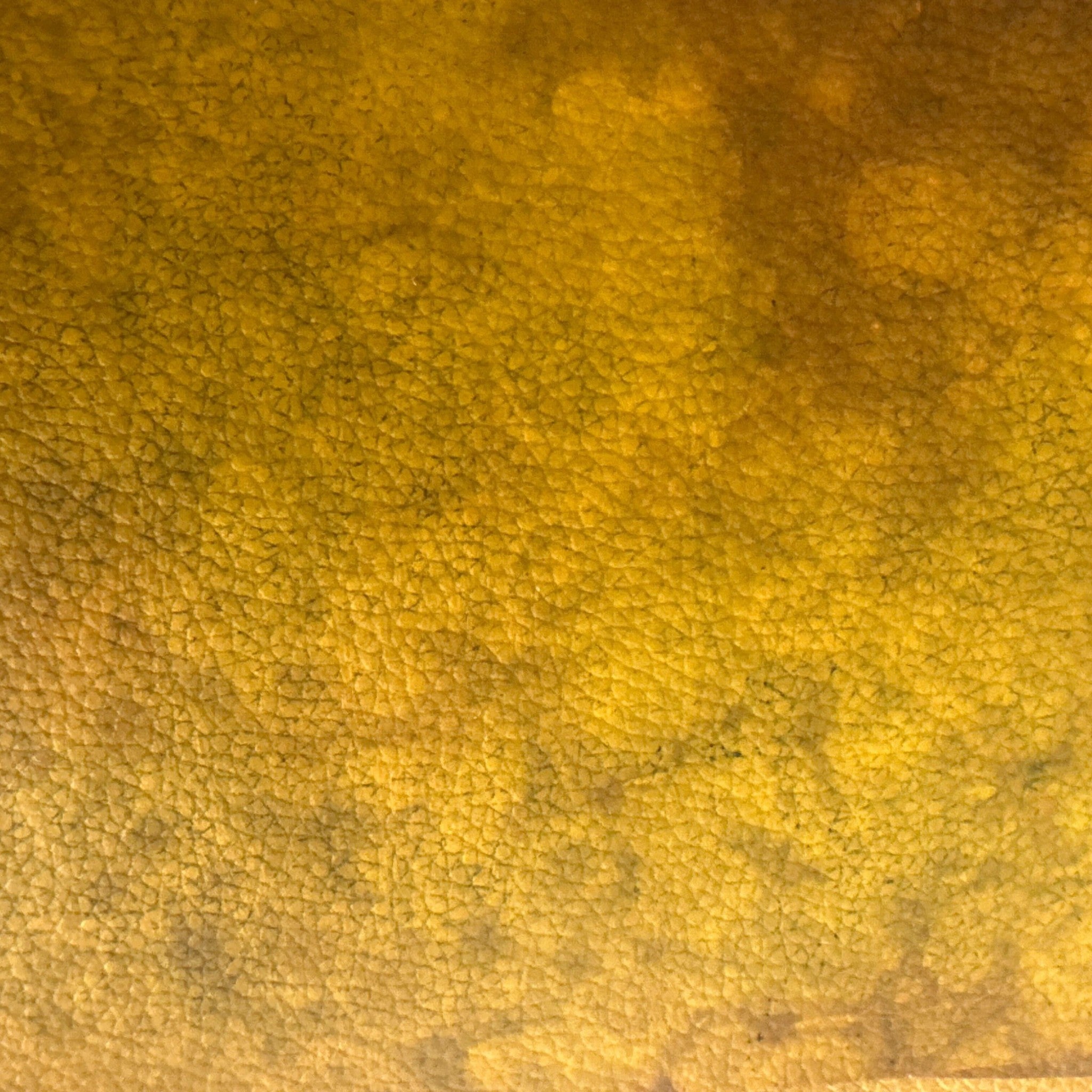 Celium™ - The Swatch Sampler