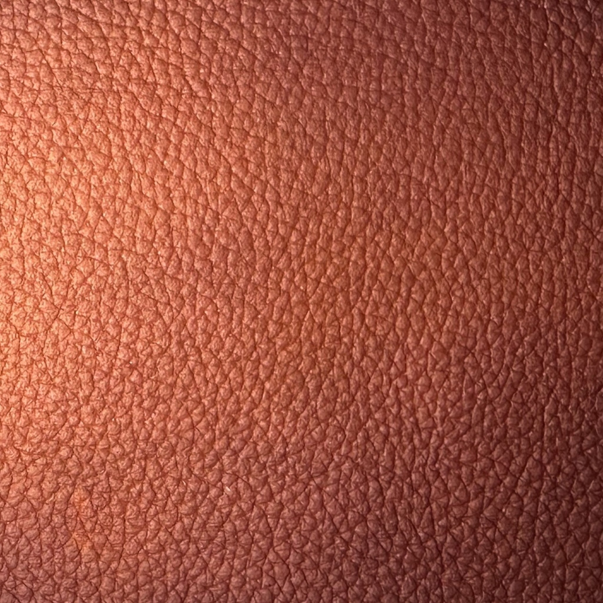 Celium™ - The Swatch Sampler